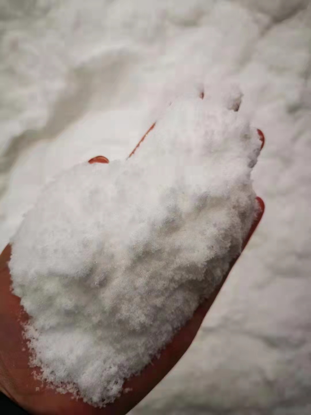 微信圖片_20211205170225